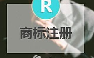 国内普通商标注册（包检索、含发票、含官费）