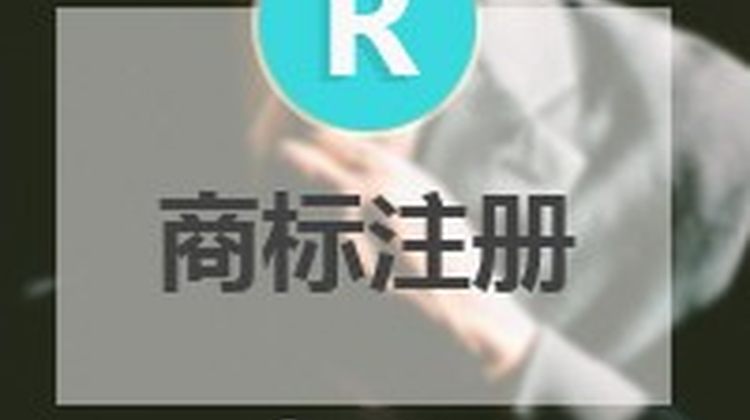 国内普通商标注册（包检索、含发票、含官费）