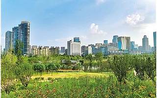 探2018綠道之變 看高新詮釋美麗宜居