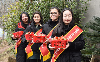 草莓熟了 成都高新區(qū)石板凳鎮(zhèn)舉辦第二屆冬草莓采摘游