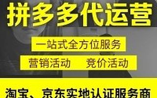 拼的多多店铺运营拼店多多店铺托管多多推广代运营装修一站式服务