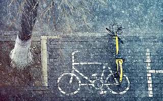 共享经济，“弊”大？“利”大？