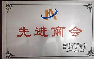 安康市青年创业协会2019年新春贺词