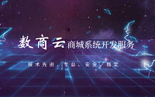 数商云电商系统,商城系统开发服务