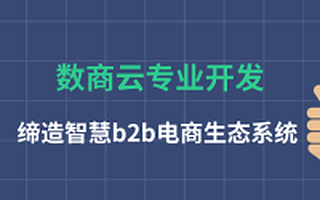 数商云专业开发,缔造智慧b2b电商生态系统