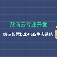 数商云专业开发，缔造智慧b2b电商生态系统