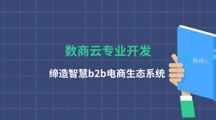 数商云专业开发，缔造智慧b2b电商生态系统