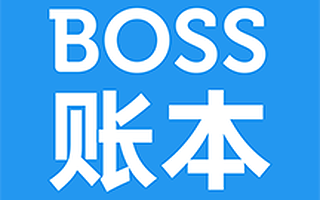 BOSS账本-好用的项目流水账管理工具