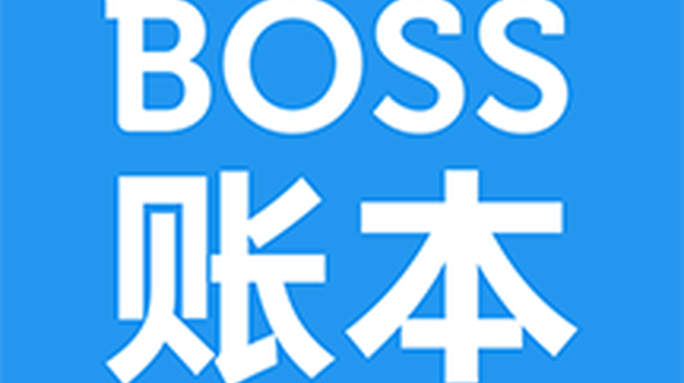 BOSS账本-好用的项目流水账管理工具