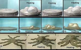 近段时间,全国科技创新中心建设这些进展值得点赞