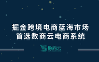 掘金跨境电商蓝海市场,首选数商云电商系统