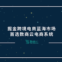 掘金跨境电商蓝海市场，首选数商云电商系统