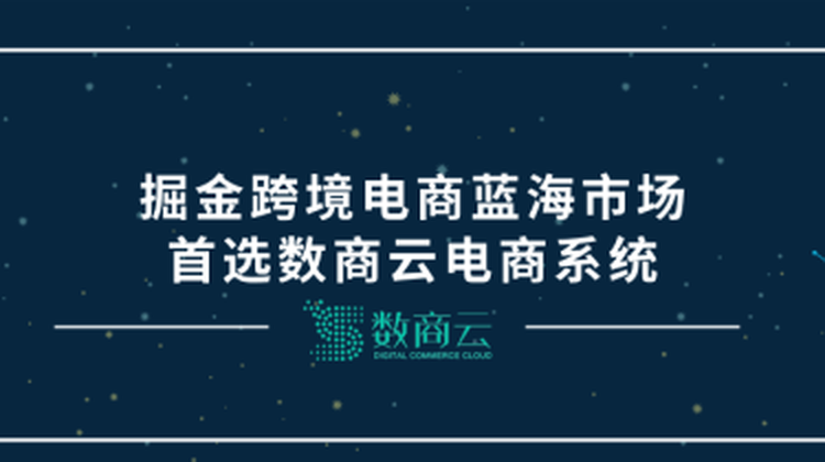 掘金跨境电商蓝海市场，首选数商云电商系统