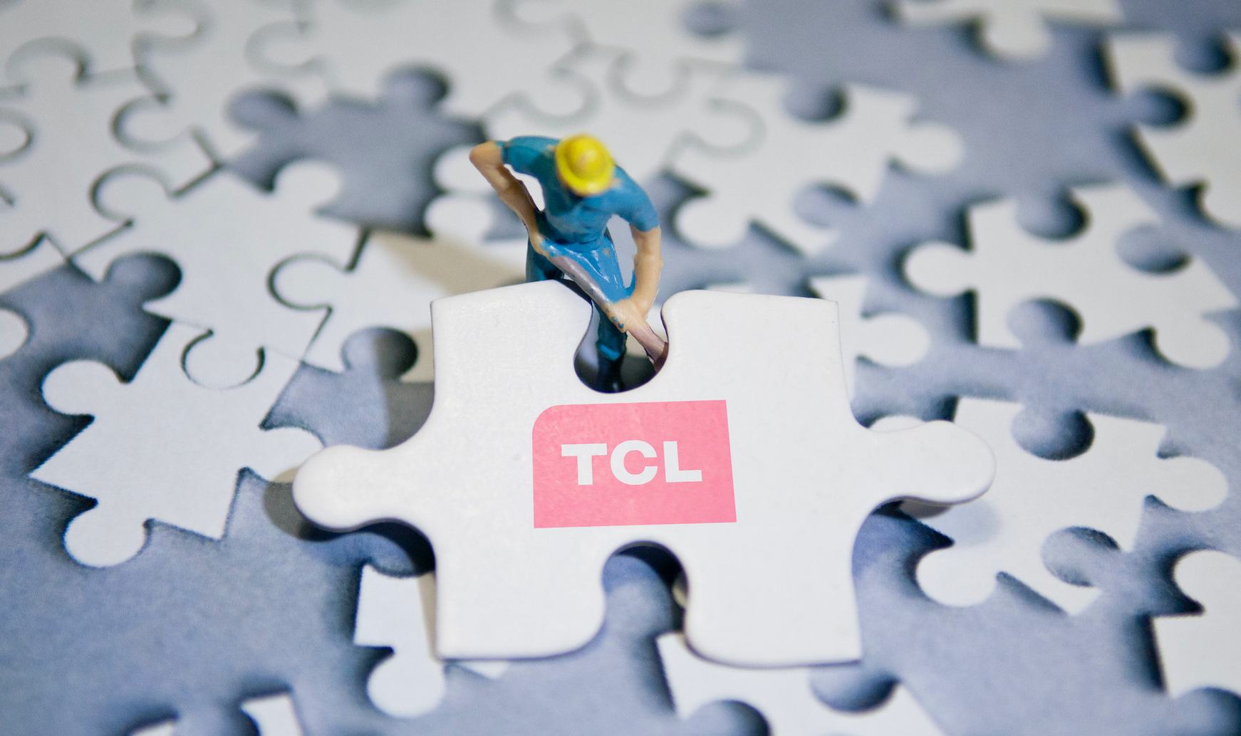 李东生：民营企业只有在中国这块土地上才能成功