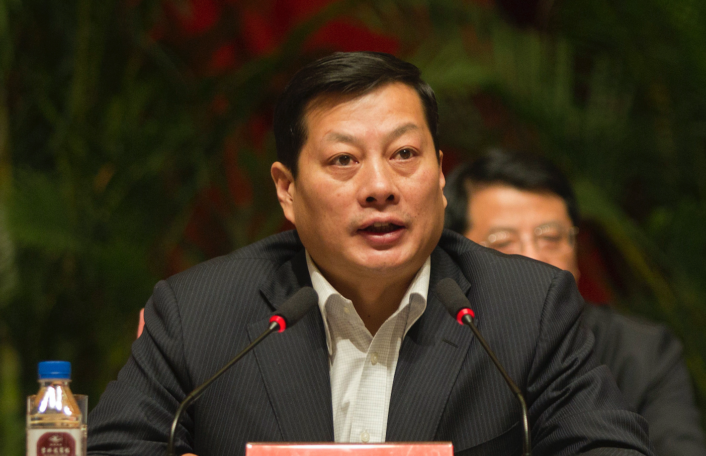 全国政协委员竺延风：汽车轻量化、新能源化、共享化将是趋势