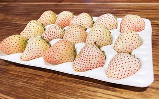 白草莓成盒馬新興“網(wǎng)紅”水果 百元一斤仍供不應(yīng)求
