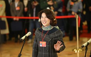 董明珠建议偷手机判10年 网友:珍惜权利 好好提建议