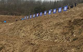 绿化安康 绿色扶贫 青创植树在行动