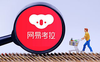 三个月四次鉴定　真伪加拿大鹅终告段落：网易电商经得起折腾么