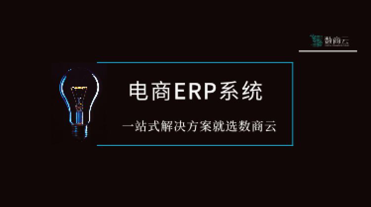 电商ERP系统丨一站式解决方案就选数商云