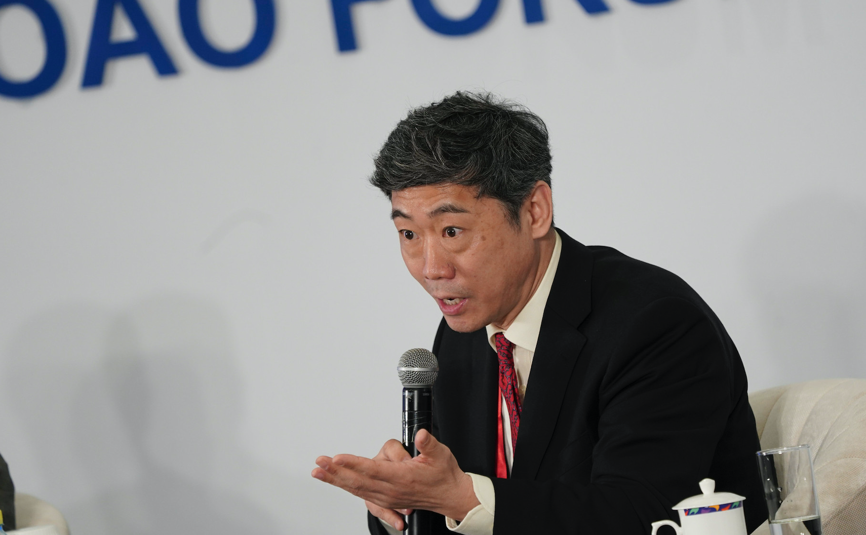 李稻葵：中国4亿人达中等收入水平