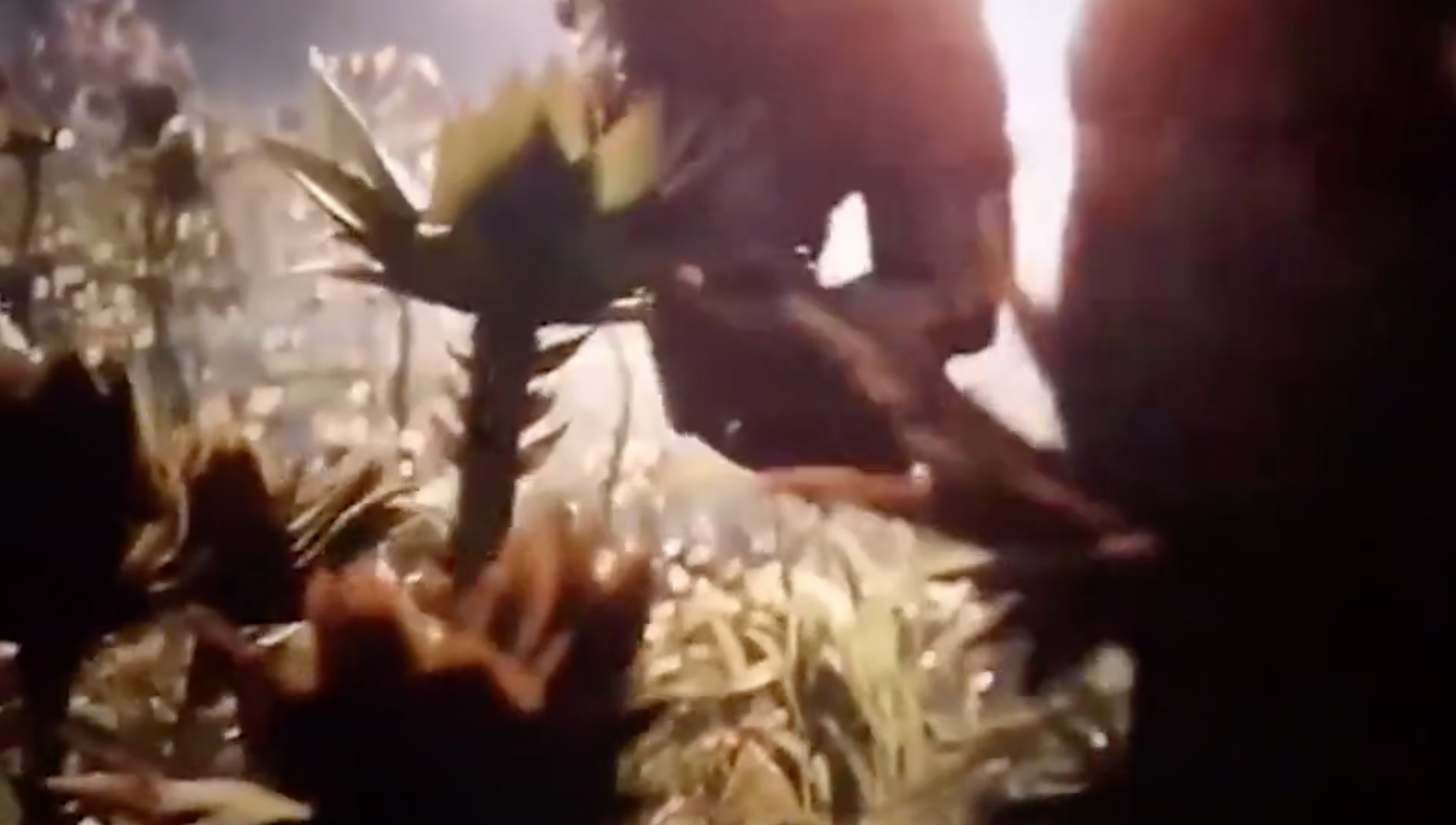 灭霸走后的第N天，想他想他想他，吃火参果怀念灭霸