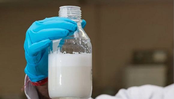 人造奶来了：不需要奶牛的牛奶，你会喝吗？