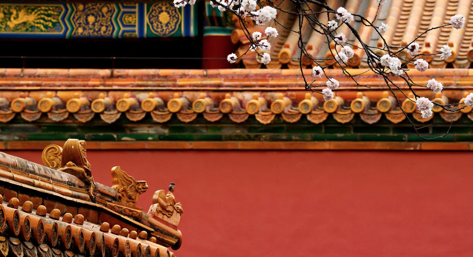 单霁翔：故宫没有一只老鼠，多亏了故宫猫