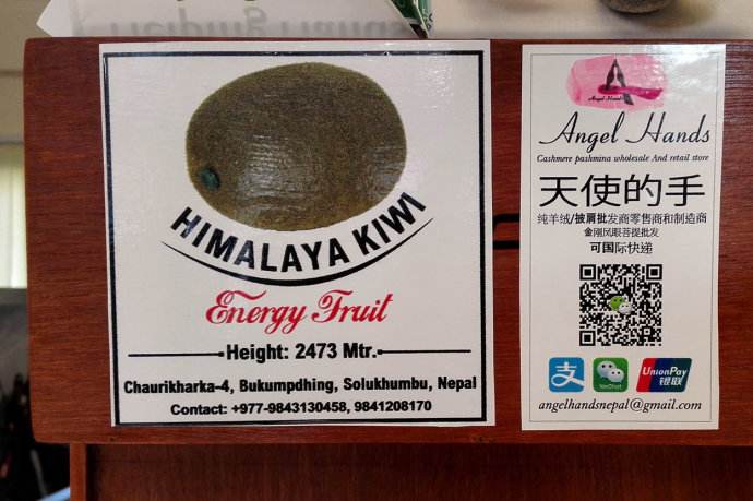 支付宝微信支付在尼泊尔不能用了？蚂蚁金服紧急回应