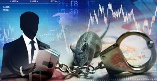 暴力抗法后深大通董事长引咎辞职　