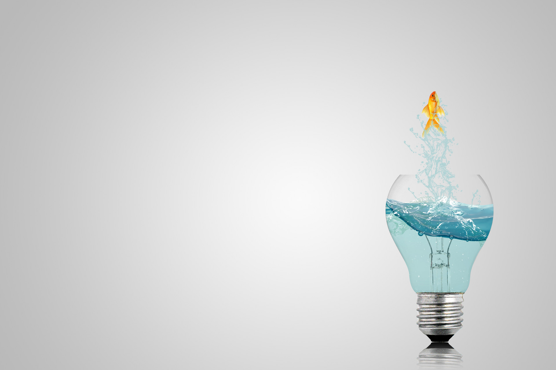 中科院首席科学家陈学雷：创新能力不是凭空产生的