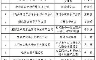 2019年“创青春”湖北青年创新创业大赛农村电子商务组决赛名单