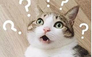 视频丨紧急！全城寻找，谁叫“小wei”？