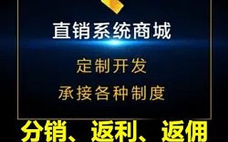 自营多用户商城app直销软件开发原生系统手机APP双轨太阳线源码定制