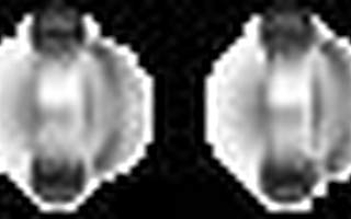 滬2019年度戰(zhàn)略性新興產(chǎn)業(yè)生物醫(yī)藥領(lǐng)域重大項(xiàng)目(第二批)申報指南出爐啦!