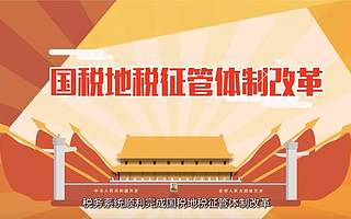 动漫丨运行一周年，新税务《合启新篇章》