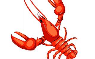 月入过万，半小时能剥3斤小龙虾就可上岗！“剥虾师”火了