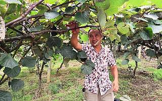 獼猴桃林里的脫貧記