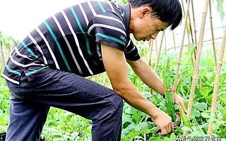 青創(chuàng)故事丨一個(gè)有思想的返鄉(xiāng)農(nóng)創(chuàng)客