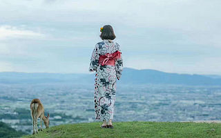 全球旅行摄影品牌路图完成5000万元A轮融资，紫牛基金领投