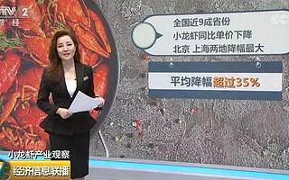 價格暴跌35%！小龍蝦自由了，市場為啥跳水了？