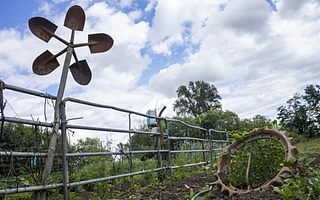 微软谈如何通过AI帮助农业转型