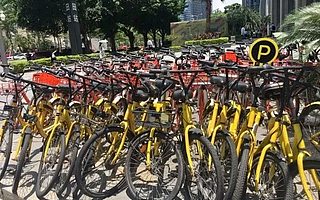 ofo小黄车悄然回归深圳