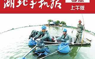 [读报]8月8日湖北手机报孝感上午版