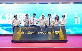 國內首個芒果主產區價格指數今日在京發布