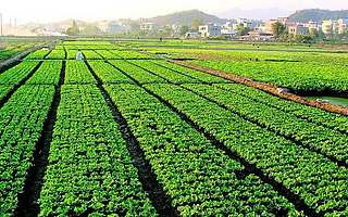 农民职业教育平台【天天学农】获数千万元B轮融资，两年完成四轮融资