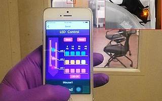 KAIST研制新型脑机接口 有助药物输送和实现远程控制