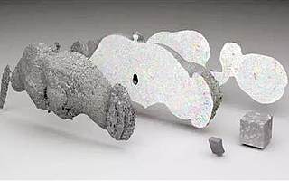 谷歌AI自动重建果蝇大脑