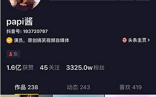 “中国第一网红”不是papi酱，YouTube或成下个战场