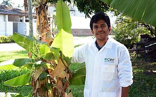 新AI应用帮助蕉农识别和对抗香蕉病虫害